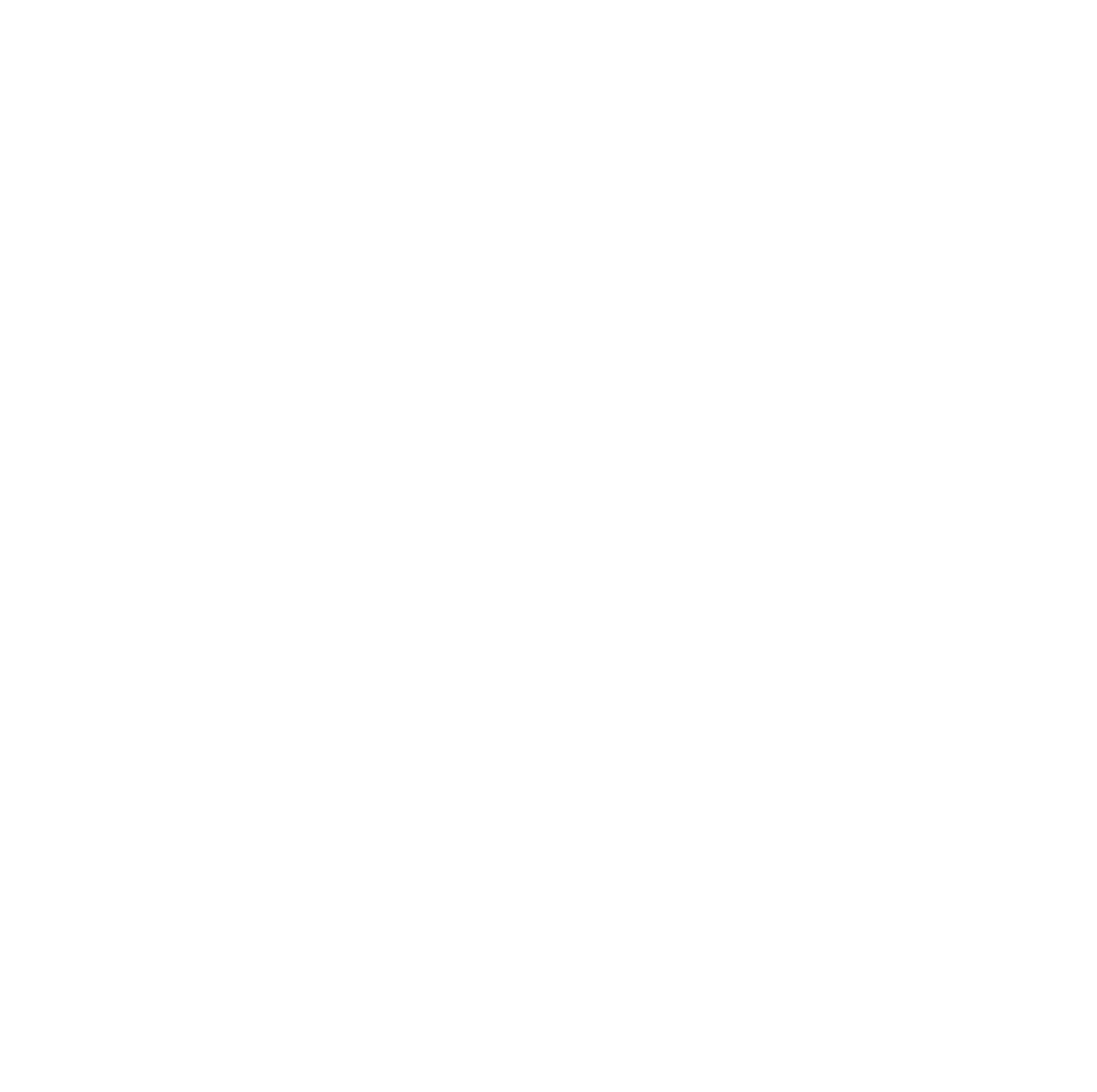 PrintForge Store логотип