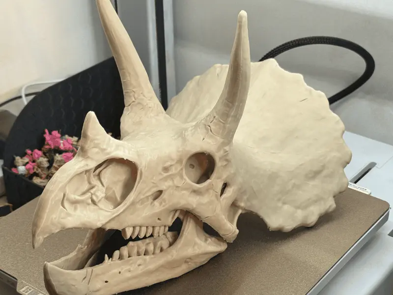 3D модель Череп Трицератопса — 3D-друкована декоративна репліка динозавра — 3D друк Львів