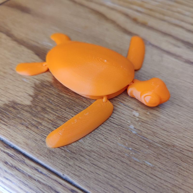 3D модель Baby sea turtle — 3D друк Львів